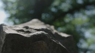 Taş heykel bir parkta yakın çekim