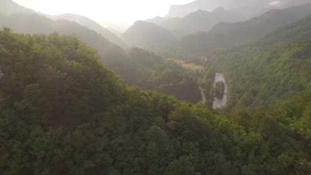 Tembakan Udara Dari Sebuah Lembah Hutan — Stok Video