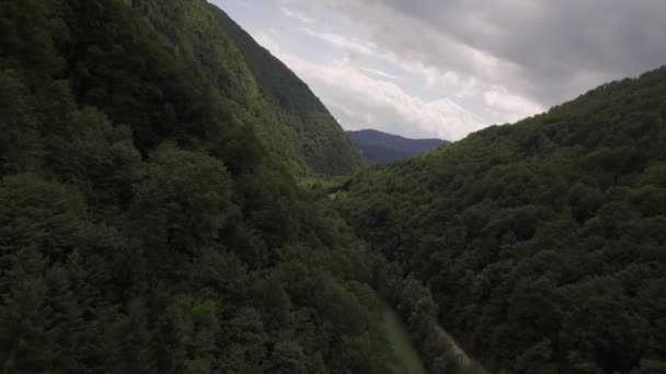 Hermoso Valle Con Río Verde Medio Del Bosque Eslovenia — Vídeos de Stock