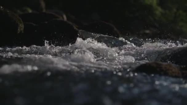 Salpicaduras Agua Rápida Pura Limpia — Vídeos de Stock