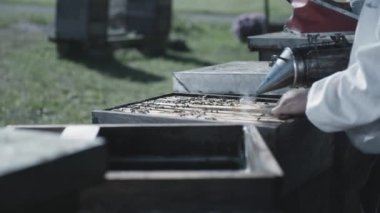 Arı kovanı arı sigara içen kullanarak arıcı.  