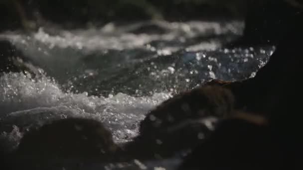 Agua Rápida Que Fluye Sobre Las Rocas — Vídeos de Stock