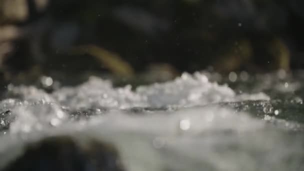 Schnelles Klares Wasser Aus Nächster Nähe — Stockvideo
