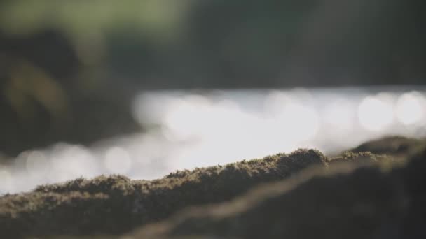川の土手に急速な水しぶき — ストック動画
