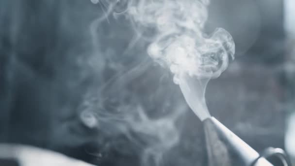 Fechar Fumaça Fumante Abelha — Vídeo de Stock