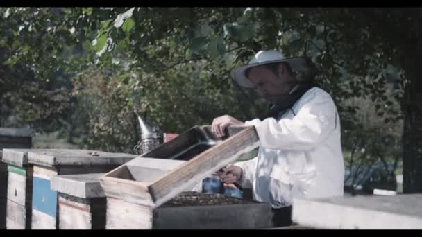 Jeden Jeho Mnoha Úlu Včelaře Otevírá Bundě Včelaření — Stock video