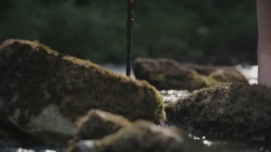 Kadın sopa hiking ile trought güçlü su hiking. 