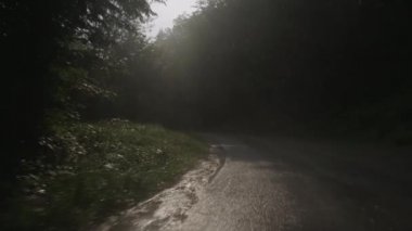 Ormana asfalt üzerinde sürüş yağıyor. 