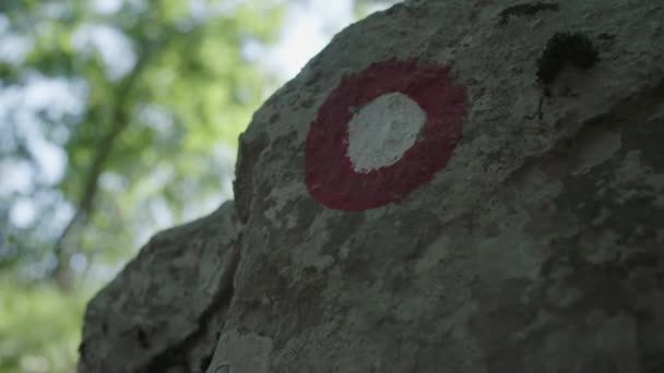 岩の上のパスのシンボル — ストック動画
