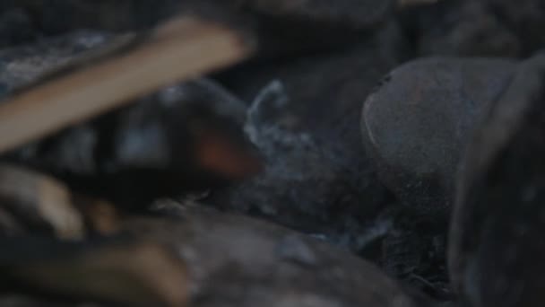 Lagerfeuer Mit Rauch Gelöscht Aus Nächster Nähe — Stockvideo