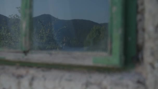 Reflection Window Man Preparing Canoe — Stock Video