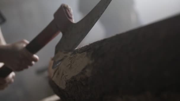 Woman Cutting Wood Trunk Axe — Stock Video