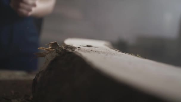 Kobieta Jest Cięcie Pnia Drewna Siekierą — Wideo stockowe