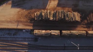 Ağaç gövdeleri hava üstten görünüm ve bir tren arabaları.