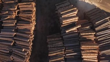  Bin kadar gidiş uçak ile ağaç gövdeleri.