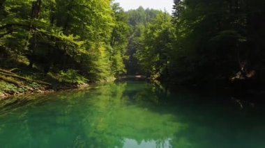 Güzel açık nehir orman ortasında. 