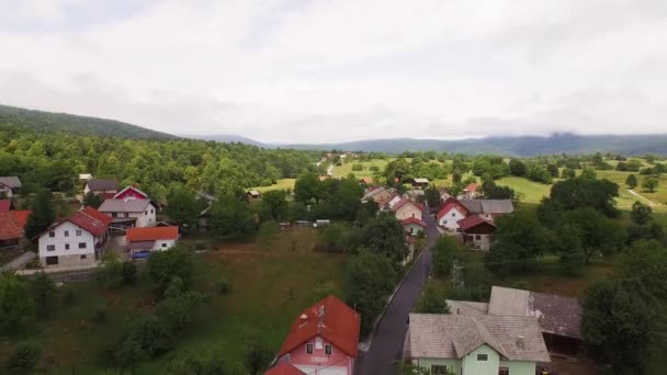 乡村和森林的空中拍摄 — 图库视频影像