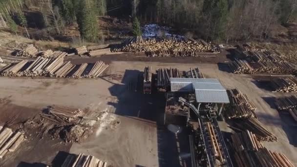 Top View Wood Industry — Stock Video