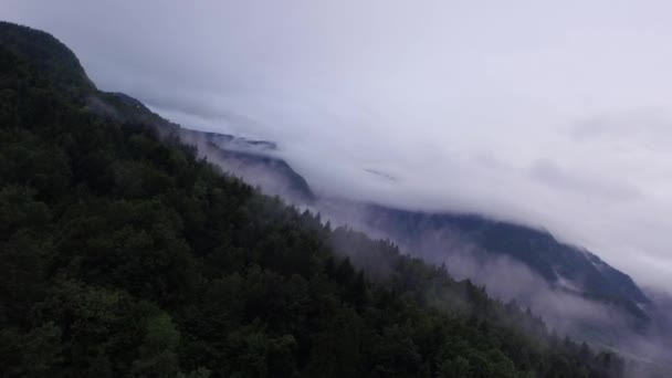 Вид Повітря Ліс Дощовими Хмарами — стокове відео