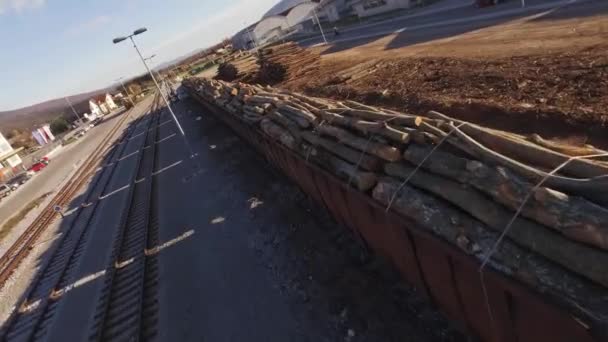 Vista Aérea Carrinhos Trem Cheios Tronco Madeira — Vídeo de Stock