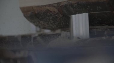 Bir testere ile ağaç gövde plakalar testere.