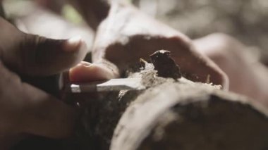 Yaşlı adam bir mağarada ahşap oyma. 