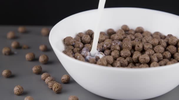 Pouring Milk Bowl Full Chocolate Cereals — Stock Video