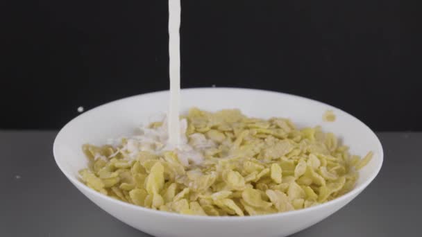 Pouring Milk Bowl Corn Flakes — Stock Video