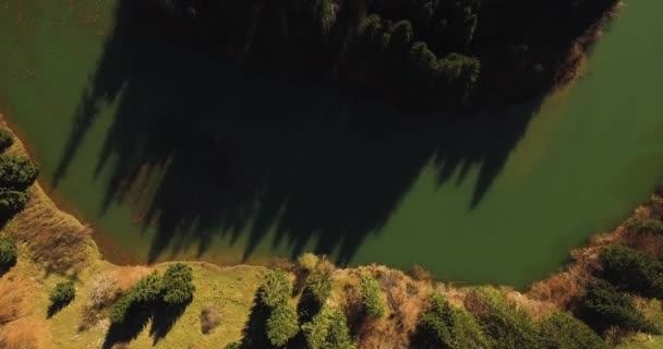 Zöld Folyó Erdő Körül Felülnézet — Stock videók