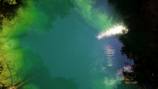 Aufnahme Der Schönen Grünen Quelle Des Flusses — Stockvideo