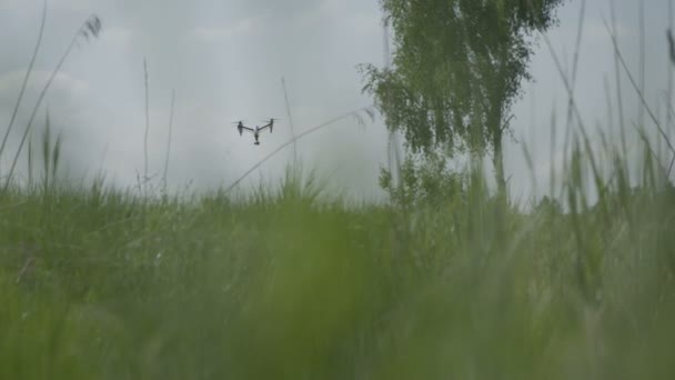 Drone Voando Acima Prado — Vídeo de Stock