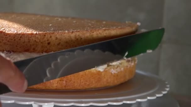 Applying Cream Spatula Cake — Stock Video