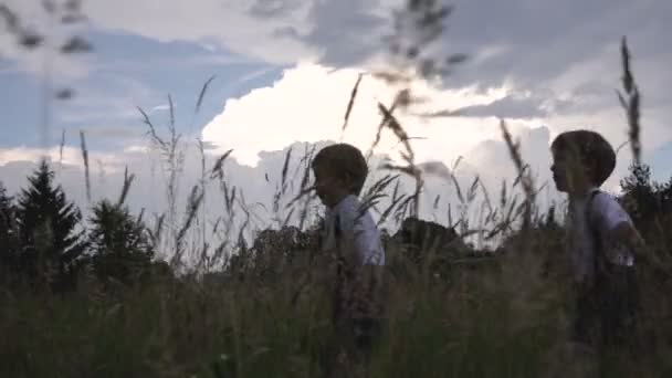 Dos Niños Pequeños Están Caminando Hierba — Vídeo de stock