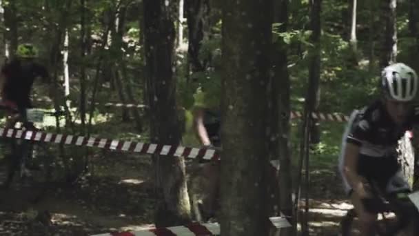 Gruppe Leistungsstarker Mountainbiker Fährt Auf Waldweg — Stockvideo