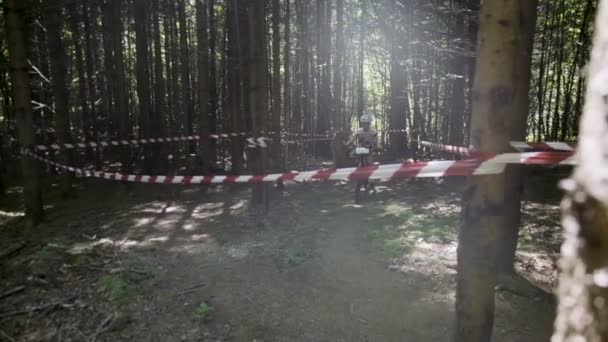 Group Young Mountain Bikers Driving Trough Forest — Stock Video