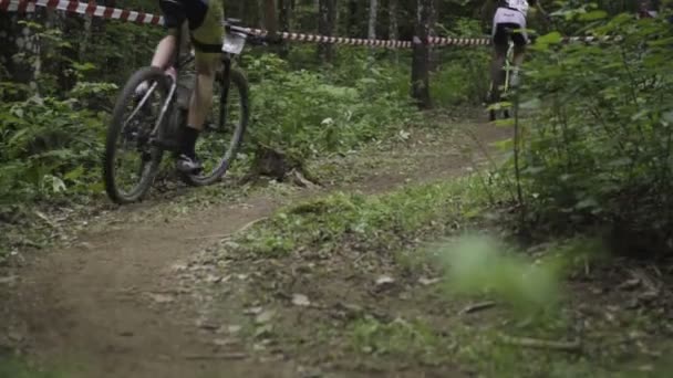 Yarış Yokuş Aşağı Dağ Bisikleti — Stok video