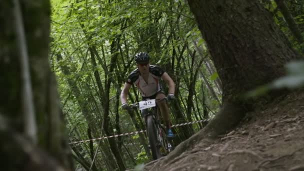 Ciclista Montaña Conduciendo Por Sendero Forestal — Vídeos de Stock