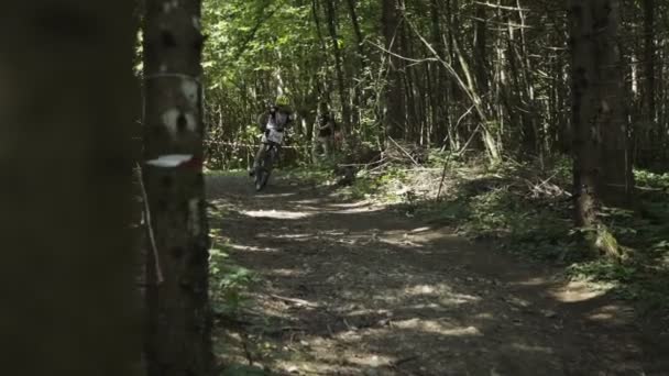 Jovem Ciclista Dirigindo Caminho Floresta — Vídeo de Stock