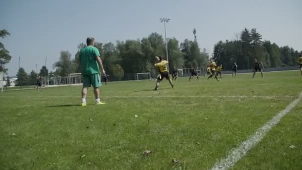Bendera Pemain Sepak Bola Lapangan — Stok Video
