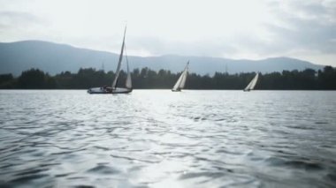 Gölde sandal Yelkenli yarış.