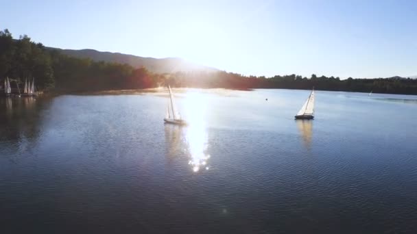 Sailboats Żeglowania Zachodzie Słońca — Wideo stockowe