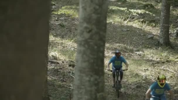 Paseo Bicicleta Montaña Cuesta Abajo Través Del Bosque — Vídeos de Stock