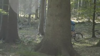 Yokuş aşağı dağ bisikleti rider bir ormanda.