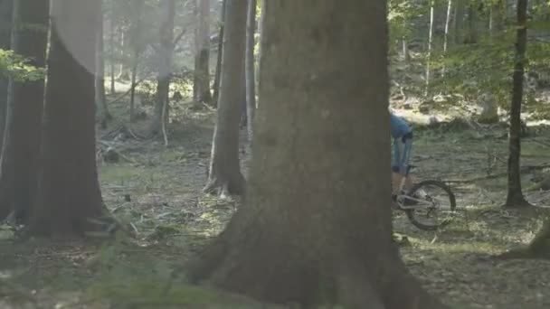 Αλπικό Βουνό Αναβάτη Ποδήλατο Στο Δάσος — Αρχείο Βίντεο