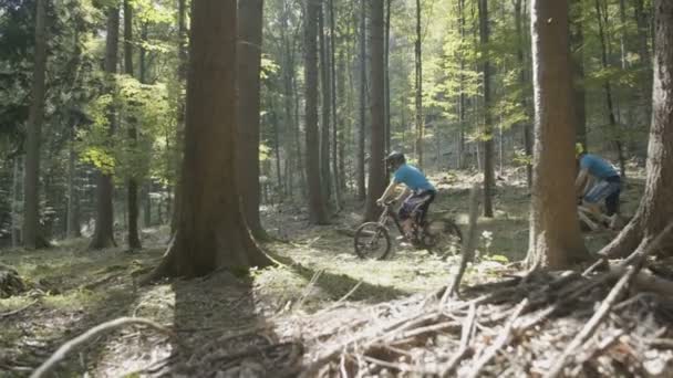 Passeio Bicicleta Montanha Pela Floresta — Vídeo de Stock