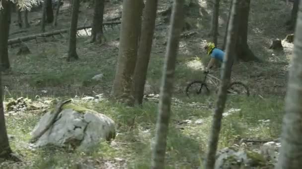 Tepeye Yürüyüş Dağ Bisikleti Binici — Stok video