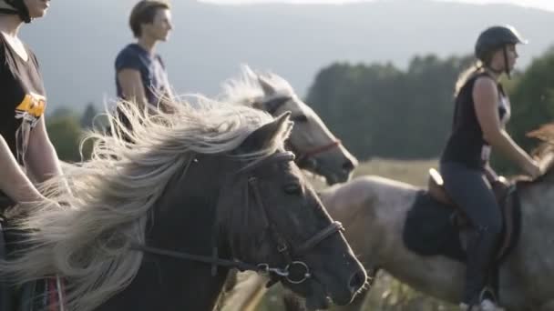 Mädchen Reiten Pferde Bei Sonnenuntergang — Stockvideo