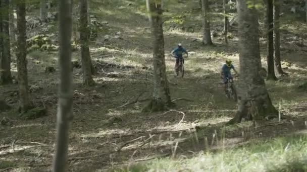 Montar Una Bicicleta Montaña Cuesta Abajo Través Del Bosque — Vídeos de Stock