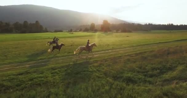 Três Mulheres Montando Cavalos Pôr Sol — Vídeo de Stock