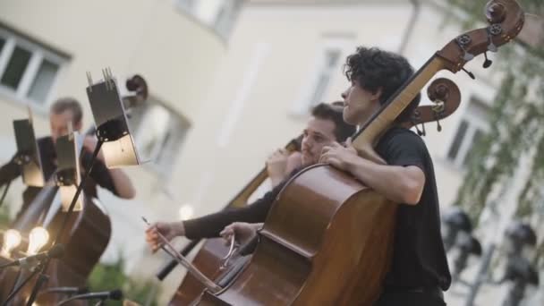 Groupe Musiciens Jouant Contrebasse — Video